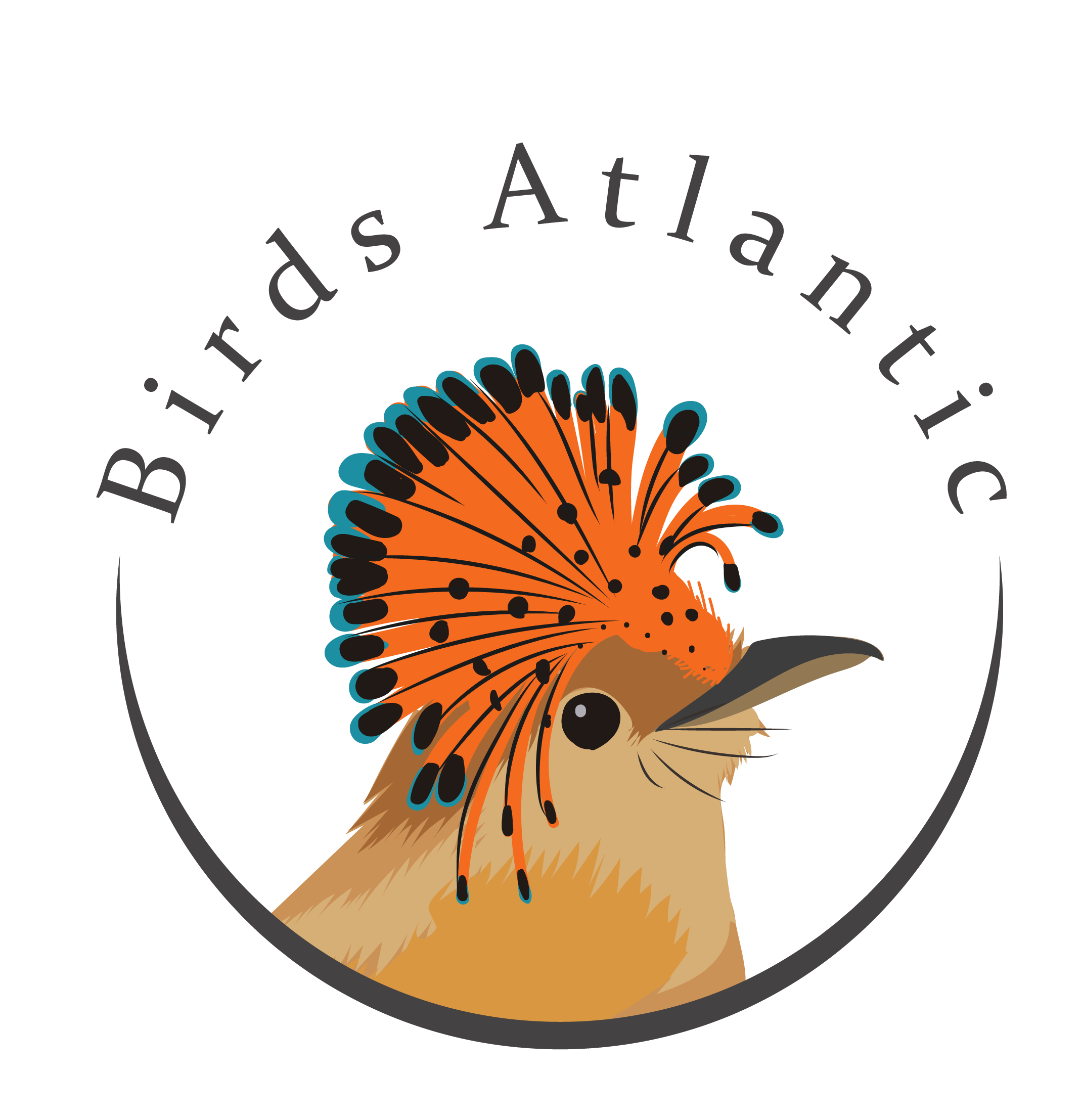 birds atlantic logotipo