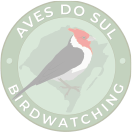 Aves do Sul-8